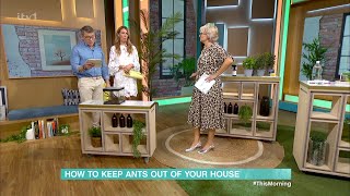 How To Keep Ants Out Of Your House  01/05/2024