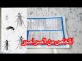 منتوج رائع وفعال للتخلص من الصراصير المزعجة منتوج رائع وفعال للتخلص من الصراصير المزعجة