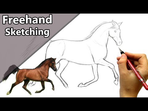 How to sketch a HORSE without any guidelines! Step by step tutorial