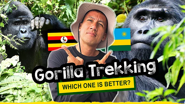 Epic Gorilla Trekking in Uganda vs. Rwanda │ A Powerful Wildlife Experience! thumbnail
