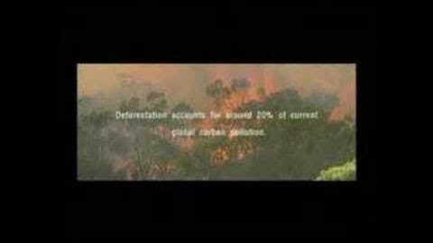 Fragile Planet- Sting & Rhythms del Mundo