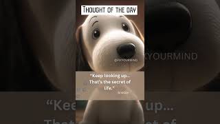Thought of the day #snoopy #viralvideo #trending  #thought
