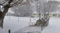 Mix of Snow around Grand Junction Co area 