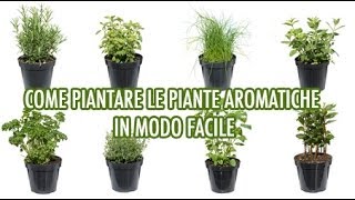 Piantare le piante aromatiche in modo facile / How to plant herbs [sub eng]