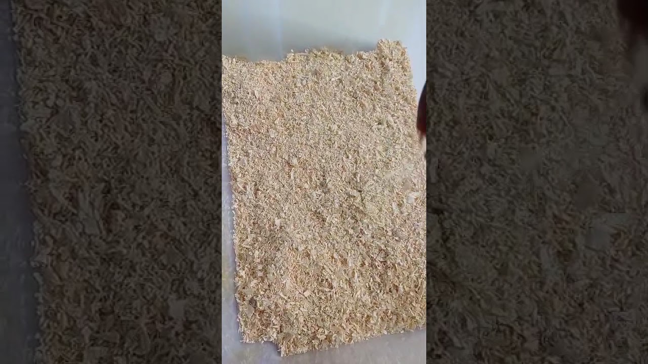 How I Cleaned My Hamster’s Messy Home 🐹