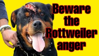 Rottweiler attack against humans / rottweiler attacks 2021 by Pet lovers 5,212 views 3 years ago 6 minutes, 20 seconds