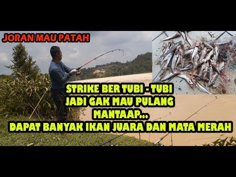 mancing-ikan-juaro/juara-dan-ikan-mata-merah-dapat-banyak-ini-dia-spotnya-mantap