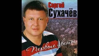 Сергей Сухачёв