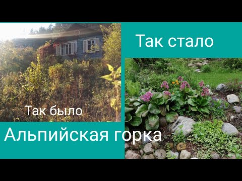 Вопрос: Какие растения для альпинария цветут раньше других?