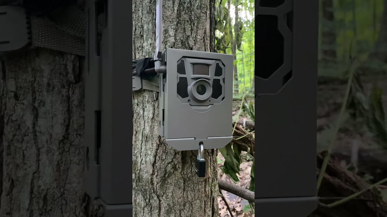 Tactacam Reveal X with Lock Case & Python Lock Cable installed tree with some tips of what not