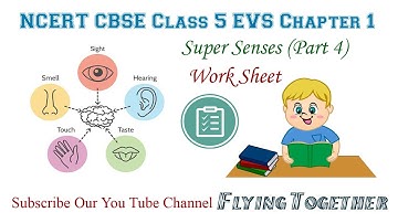 Super Senses | Work Sheet Explanation | NCERT | CBSE | Class 5 | EVS | Chapter 1 | Part 4