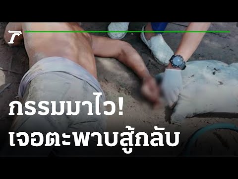 ทำแกงคั่วตะพาบ แต่ตะพาบสู้กลับ | 30-10-65 | ข่าวเช้าไทยรัฐ เสาร์-อาทิตย์