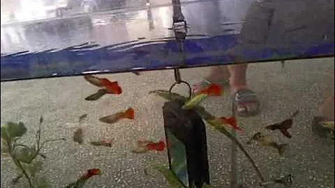 HardwareZone Philippines: GE G3WP Waterproof Digital Camera