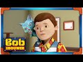 Bob de Bouwer ⭐️ Cats and dogs! 🛠 Nieuwe aflevering | Cartoons voor kinderen