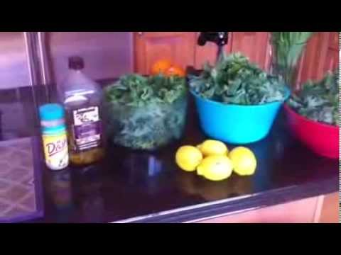 Excalibur Dehydrator Recipe How To Make Kale Chips