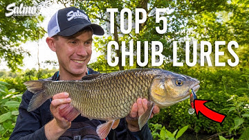Top 5 Salmo lures that get smashed by chub