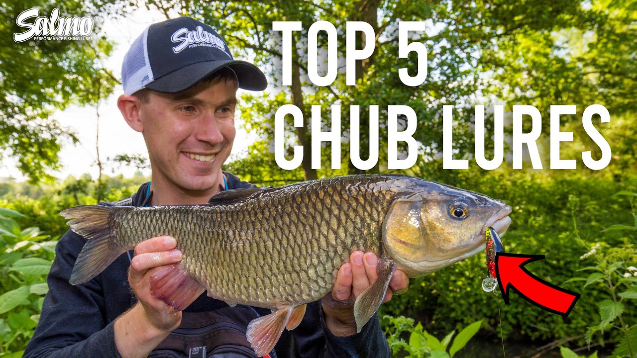 Top 5 Salmo lures that get smashed by chub