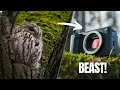 Sony ZV-E1 Review|Amazing for Nature Filming?
