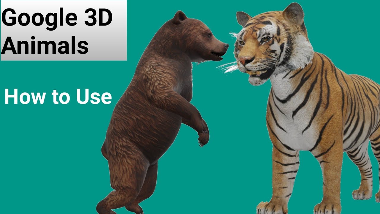 Become a Tiger King with These 3D Animals and Objects on Google