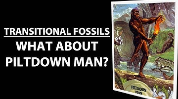 Transitional Fossils - Piltdown Man