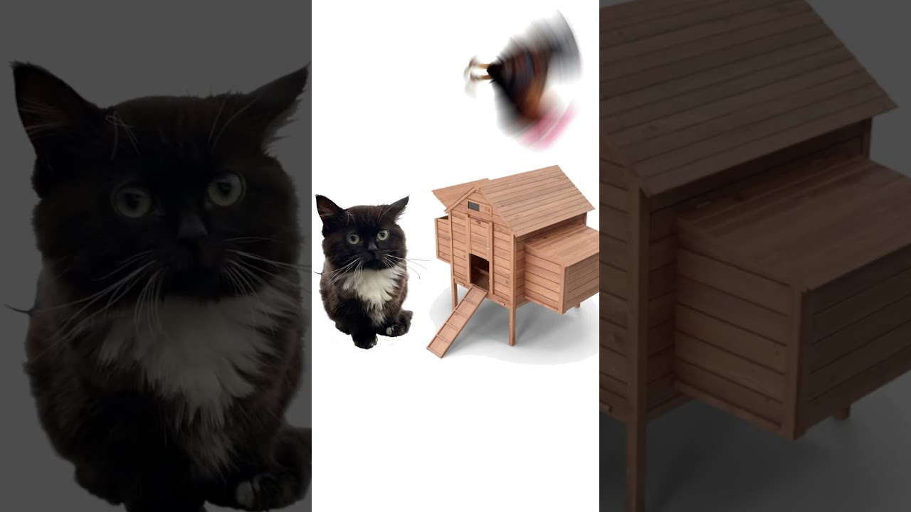 ССЫЛКА В ПРОФИЛЕ 