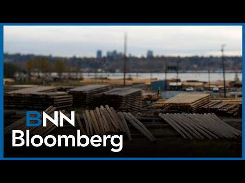 The importance of Canada's forestry sector