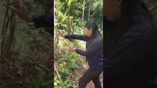 Download Lagu Penarikan Pusaka Batara Karang Ki Caturaga MP3