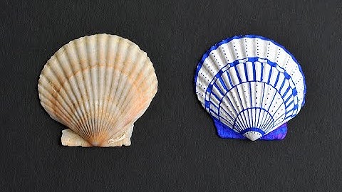 Sharpie Seashells | How to Decorate Seashells with Sharpies