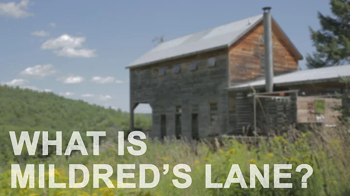 What is Mildred's Lane? | The Art Assignment | PBS Digital Studios