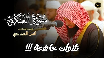 روائع التلاوات من سورة العنكبوت بصوت الشيخ أنس العمادي 1446 هـ