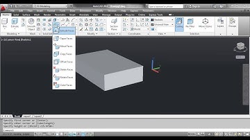 The COLOR FACES Command - AutoCAD