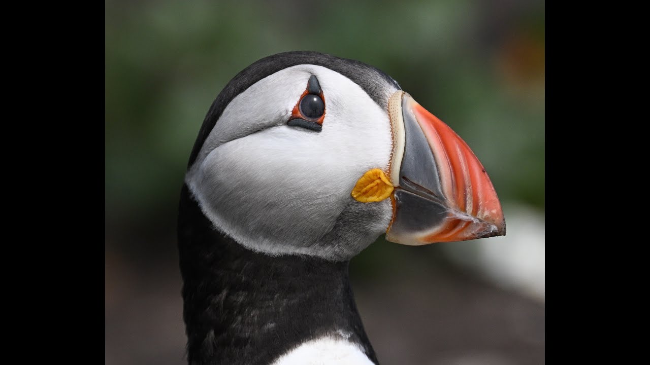 Smudger's Review of 2024