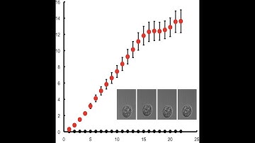 BPPB Virtual Seminar, Wallace Marshall, “Flagellar length fluctuations follow confined random walk”
