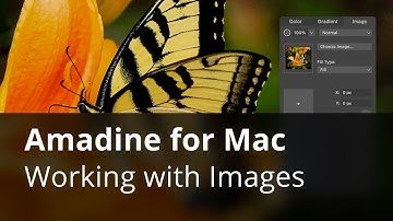 Working With Images—Part 1—Amadine for Mac Tutorials