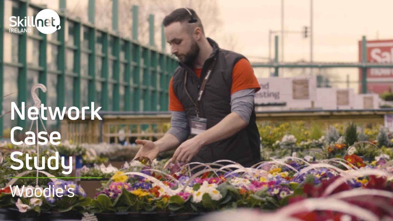 The importance of investing in people - Woodie's Case Study | Skillnet