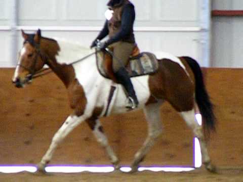 Centered Riding Clinic w/Peggy Brown - April 18, 2009 - Louise & Cajun #3