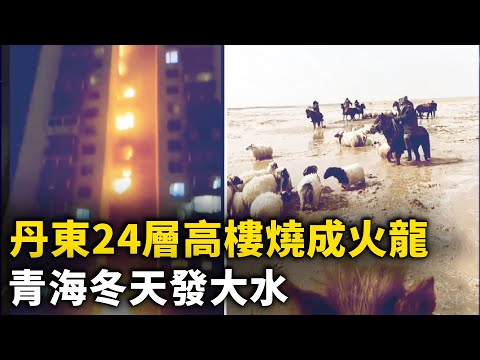 丹東24層高樓燒成火龍 ！東莞重慶武漢接連火災 ！青海冬天洪災 大量羊群淹死 消息被壓十天！山東男報復社會事件 當局壓熱搜！疑小粉紅北京街頭拉橫幅 要官員公示財產【 #網路視頻 】