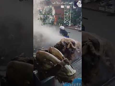 المغرب لحم الراس مبخر الرباط 