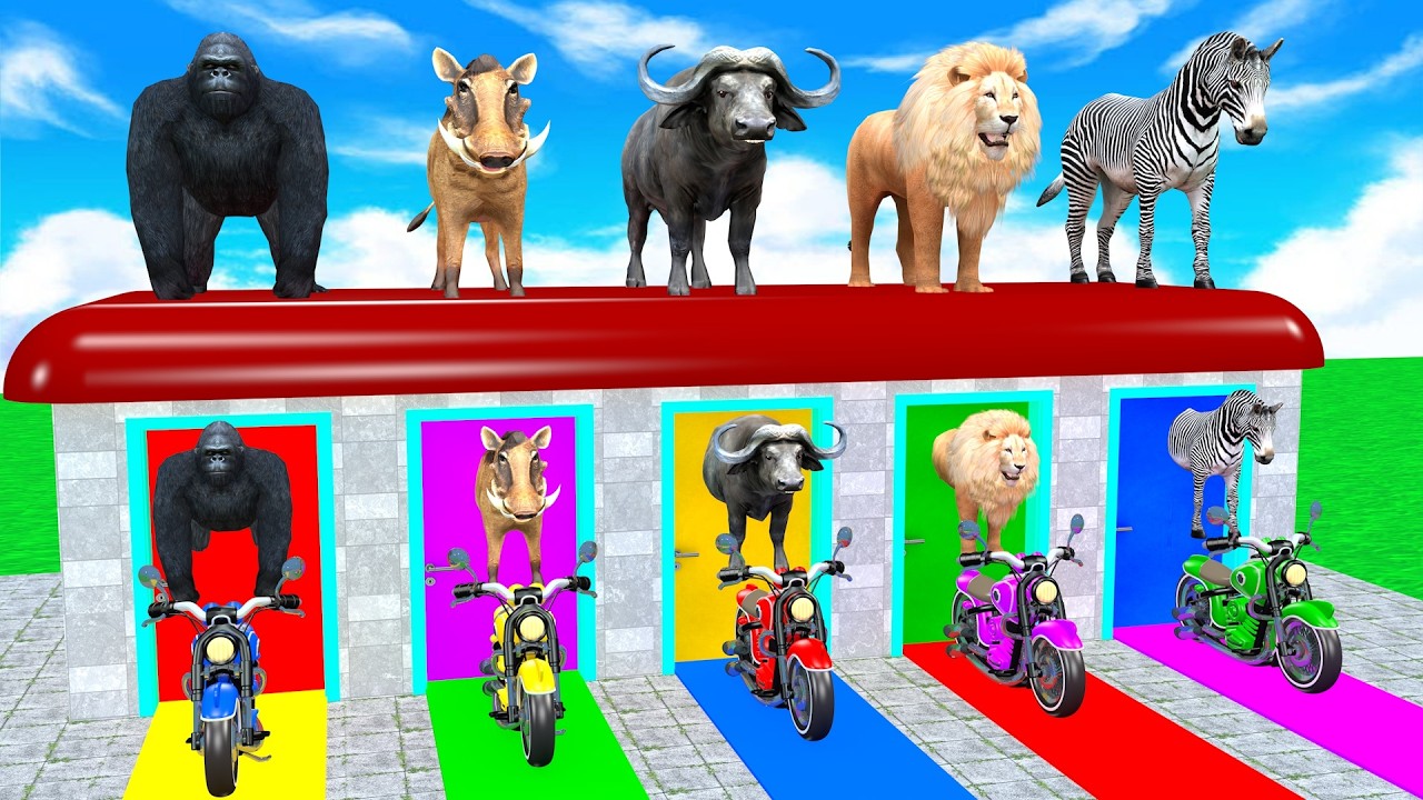 Long Slide Game With Elephant Gorilla Buffalo Hippopotamus Tiger 3d Animal Game Funny 3d Animals