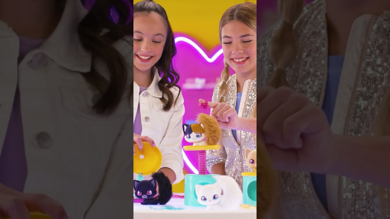 🎀🐾 Discover the QT Kitties! 🐾🎀 