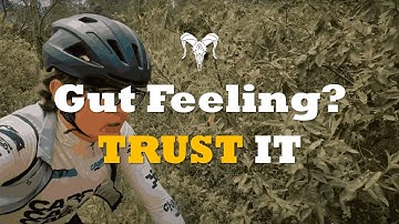 Why You Should Trust Your Gut | Intuition Explained Like Riding a Bike