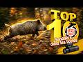 Sangliers dans les bottes en battue à la ShotKam - Top 10 Rêves De Chasse n°42 - Avril 2026