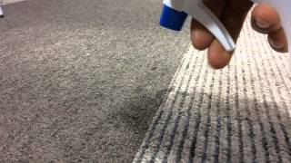 【サラヤのみらいの洗剤】口コミで評判の洗剤でカーペットのシミ取り！