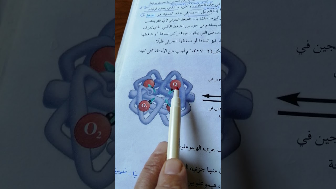 تركيب جزيء الهيموغلوبين الجزء الرابع