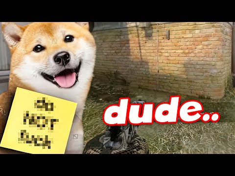 Advice for first time dog owners