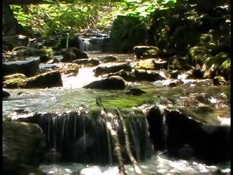 Gary Cliff — GARY CLIFF - Slow Love