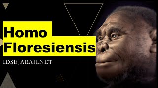 Materi Sejarah Homo Floresiensis / Sejarah Indonesia