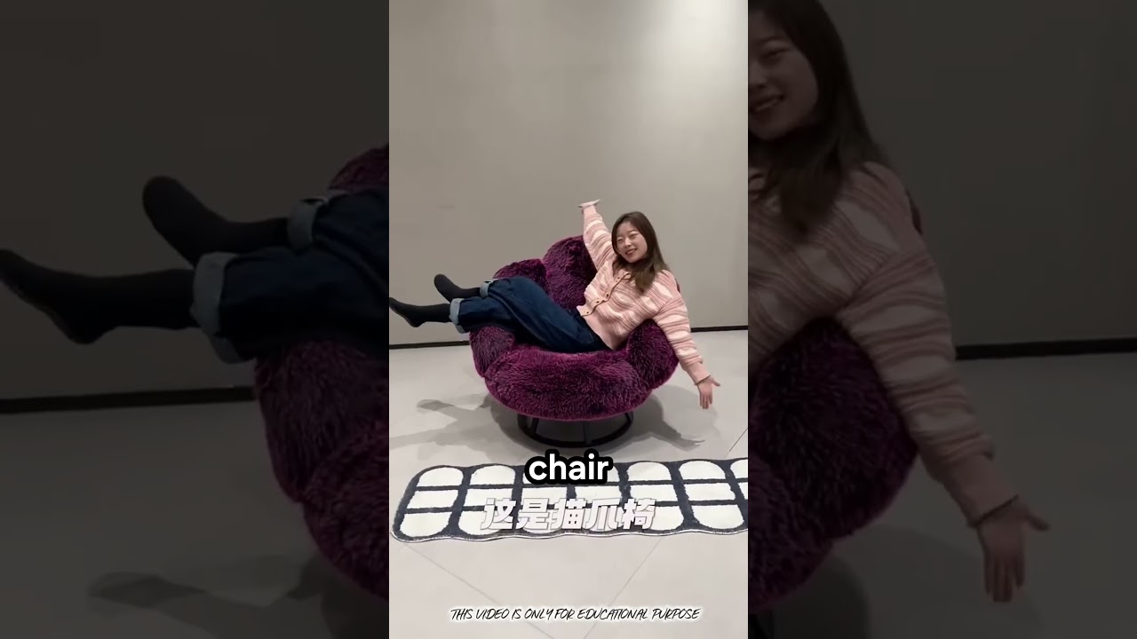 My Family’s Entire Chair Collection 🤩🛋️