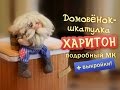 Домовёнок- шкатулка Харитон, подробный мастер-класс по просьбе подписчиков! )