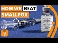 Smallpox Eradication and Its Historical Significance